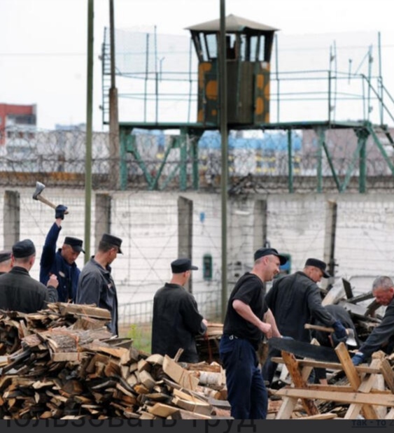 Дёшево и сердито: Арктику будут "поднимать" зеки и солдаты