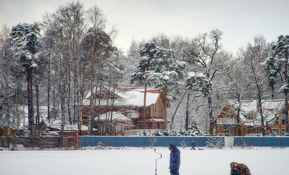 Госдума продлевает "дачную амнистию" до 1 марта 2031 года