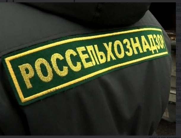 Лук, морковка и арбуз