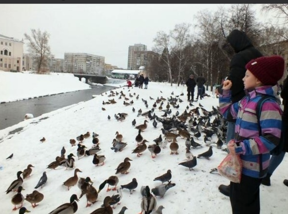 Сколько уток на Абе у "Октября"?
