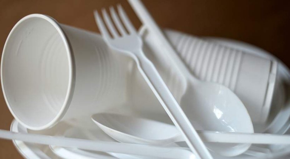 В России откажутся от одноразовых товаров из пластика в 2025 году