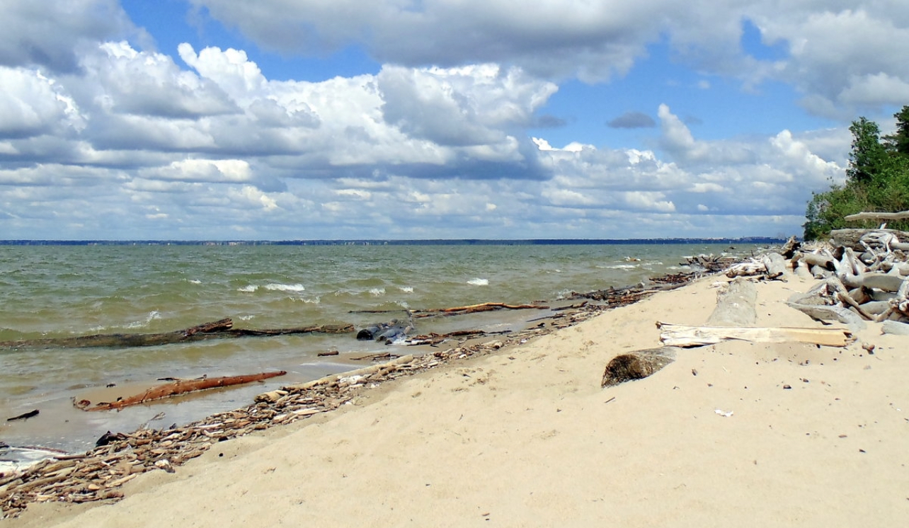 Обское водохранилище. Обское водохранилище Новосибирск. Берег Обского моря Новосибирск. Обское водохранилище Новосибирск пляж. На Обском море Береговое.