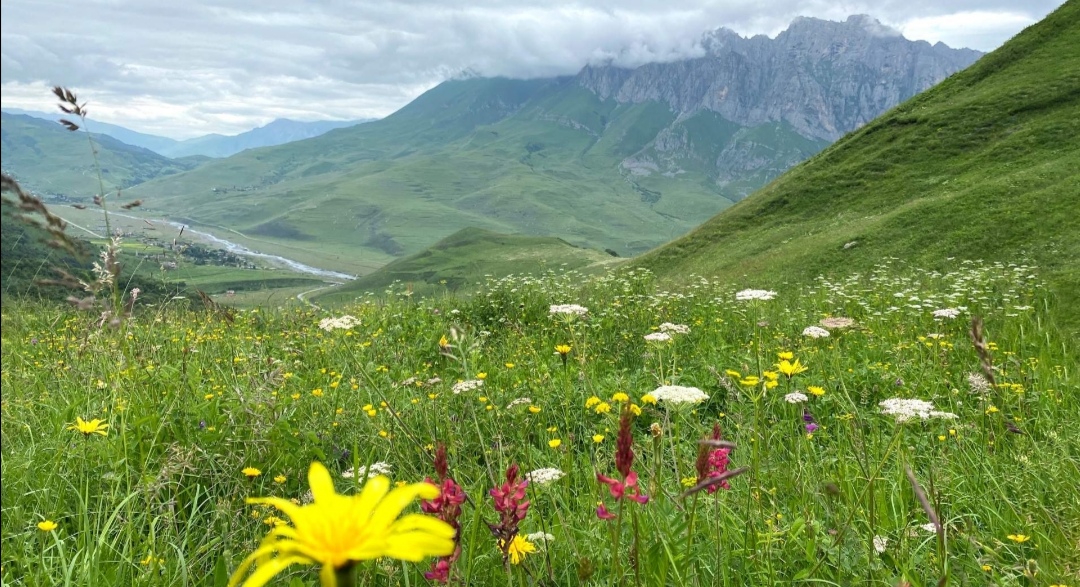 Прогулки за облаками: чем манит туристов Северная Осетия