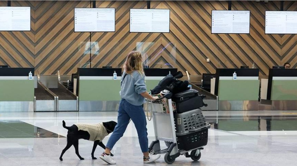 Минтранс не захотел увеличивать вес провоза животных в салоне