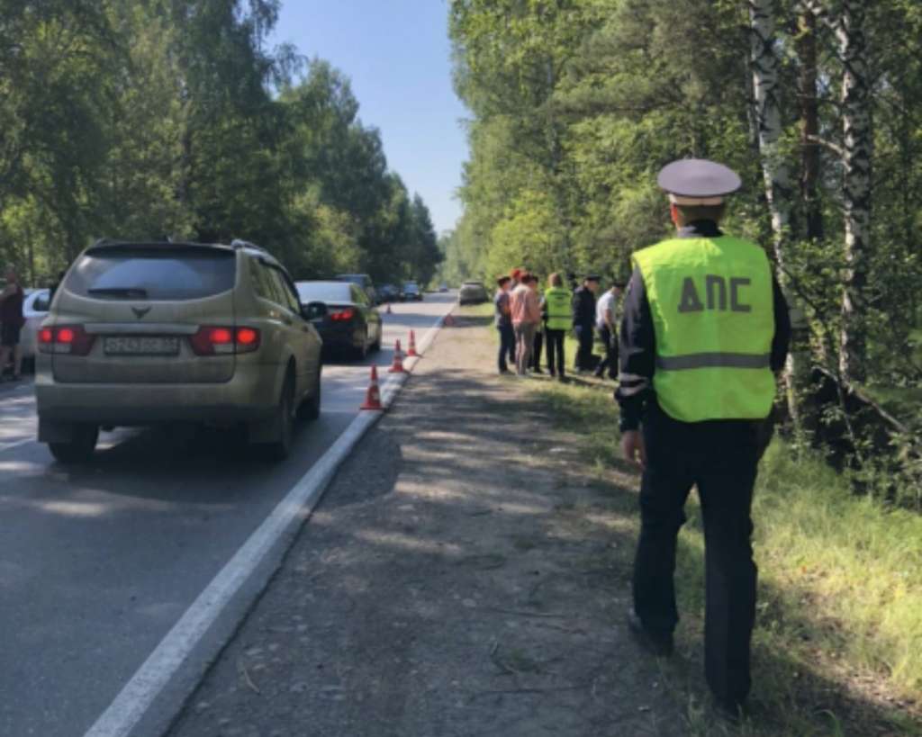 ОКА» пошла на обгон иномарки и врезалась в дерево | 08.08.2022 |  Новокузнецк - БезФормата