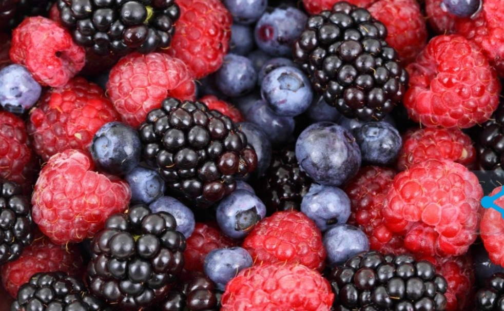 Крупный российский маркетплейс Wildberries стал называться «Ягодки»