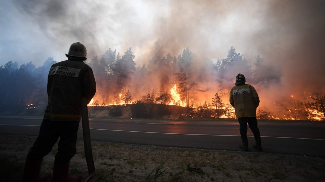 Горимая местность: регионам поручили вдвое сократить площадь лесных пожаров