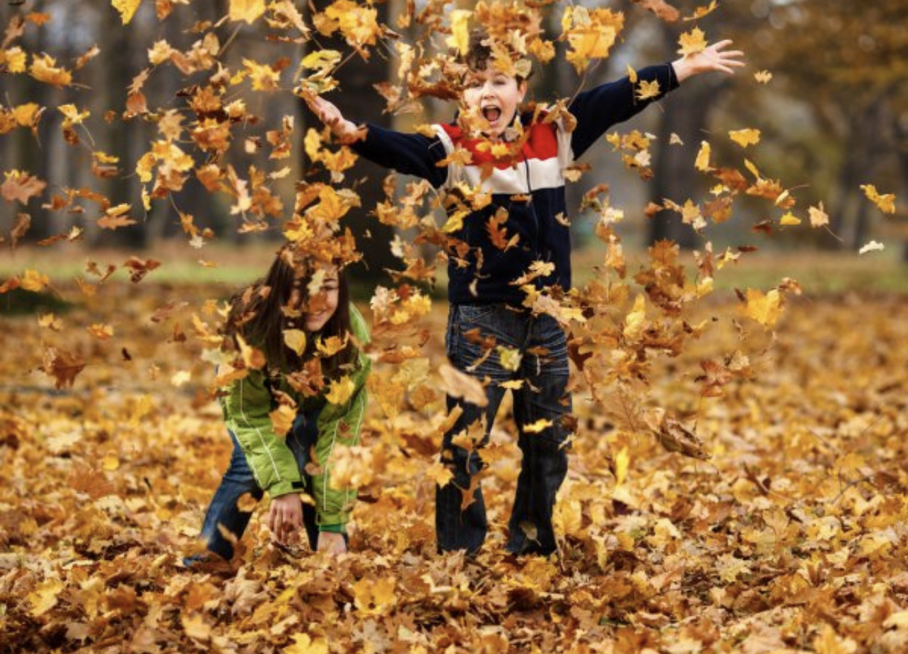 Я календарь переверну – первое сентября в Новокузнецке