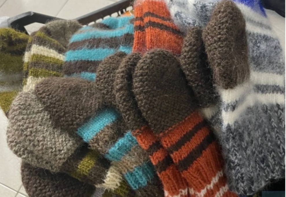 В Новокузнецке пустили собак на носки солдатам