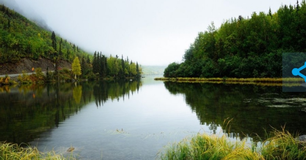 В реку Томь слили огромное количество нефти, превысив все допустимые нормы