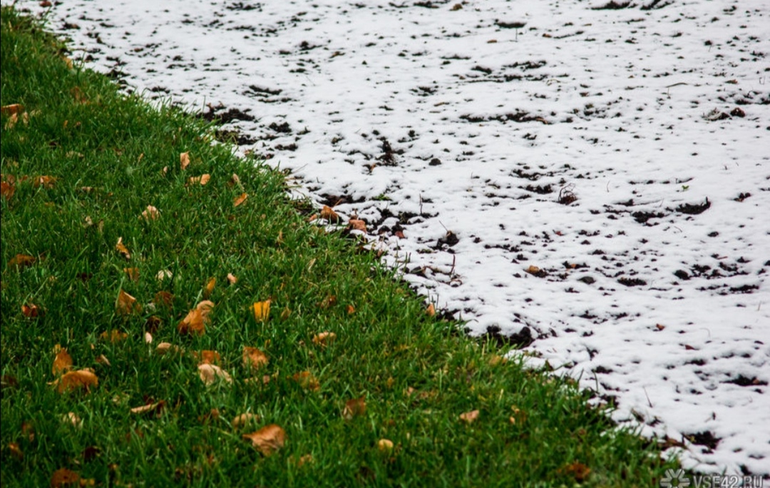 Туман, штормовой ветер и перепады температур испортят кузбассовцам праздничные выходные