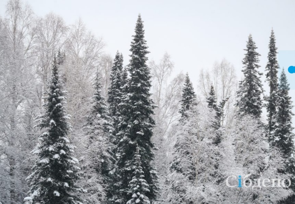 Власти Новокузнецка рассказали, как в городе будут праздновать Новый год