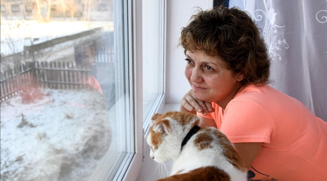 Дачи не надо: в РФ предложили провести «реновацию» для садоводов