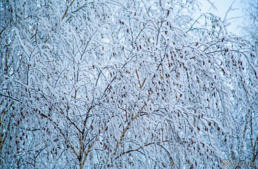 Специалисты начнут штрафовать перевозчиков за холод в новокузнецких автобусах