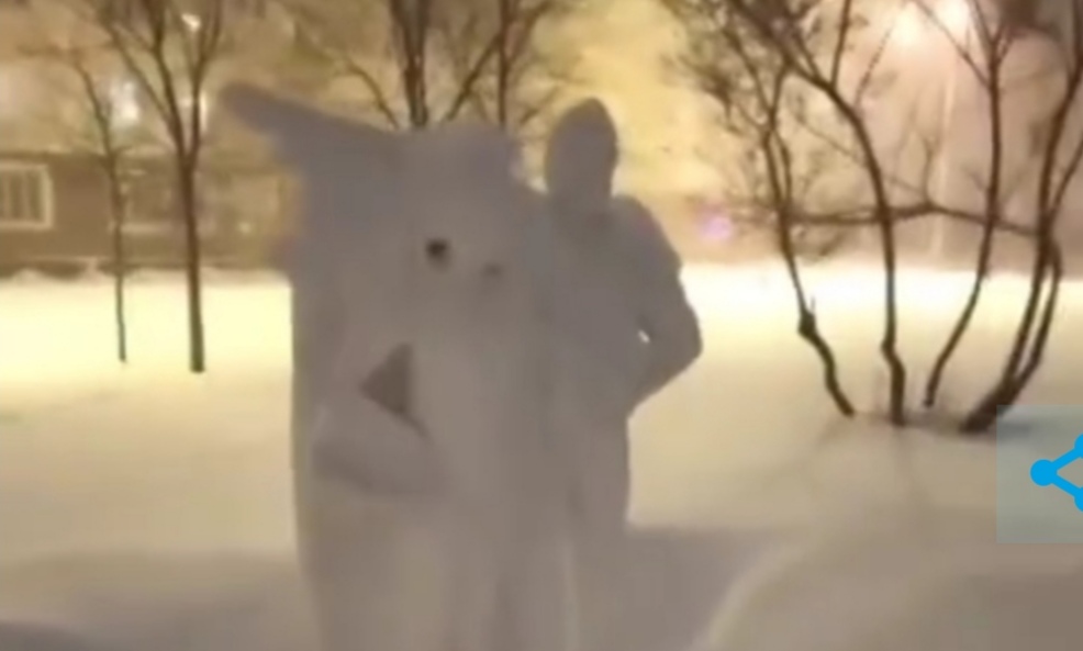 В Новокузнецке Ленин и пионеры превратились в белые призраки