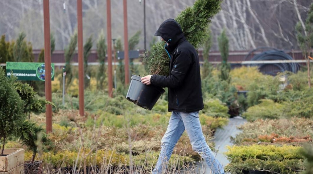 Благо в устройство: в России хотят массово озеленять крыши домов