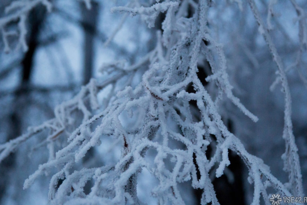 Сильные морозы ударят по Кузбассу после плюсовой температуры
