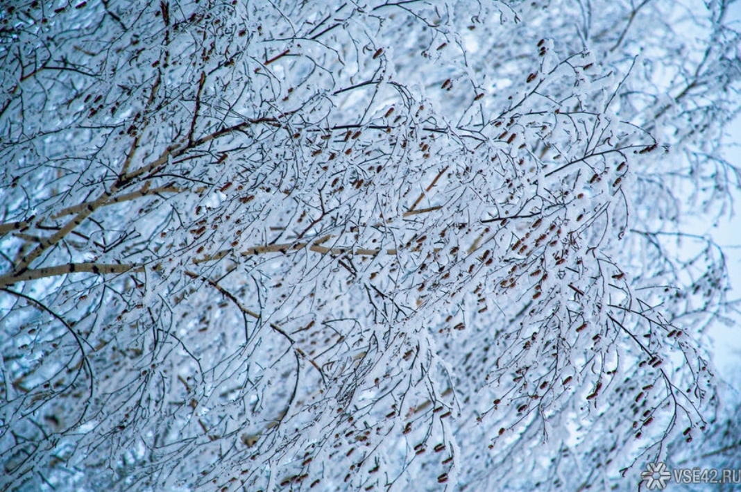 До -30ºС: синоптики рассказали о погоде в Кузбассе в начале февраля