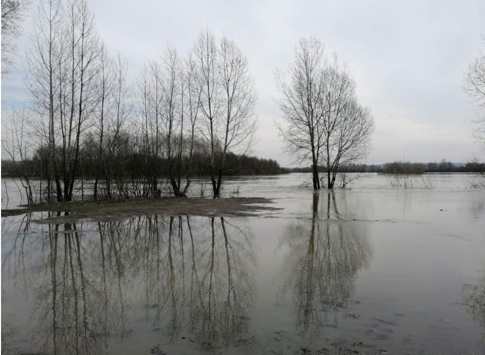 ЧТО ГОВОРЯТ СИНОПТИКИ О ПРЕДСТОЯЩЕМ ПАВОДКЕ В КУЗБАССЕ