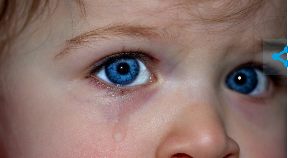 Для питания в школы и детские сады Кузбасса поставляли поддельную продукцию