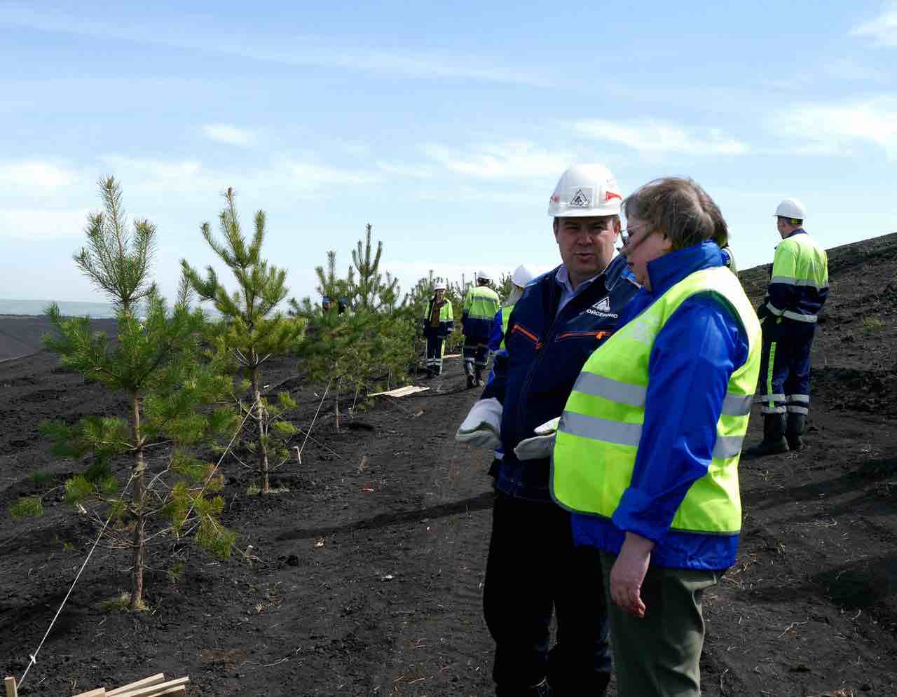 Рекультивация на уровне эксперимента