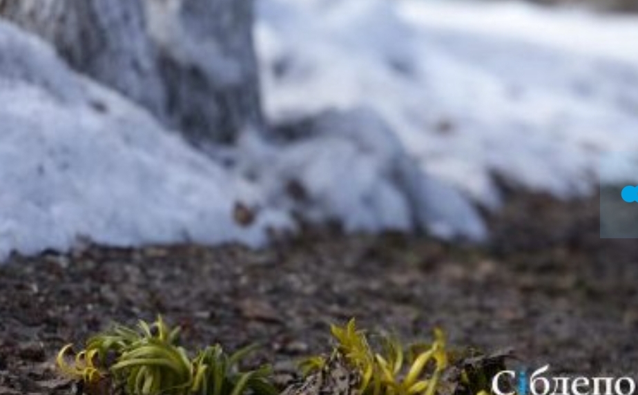 Подтаявший снег в Кузбассе стал причиной плохих ситуаций