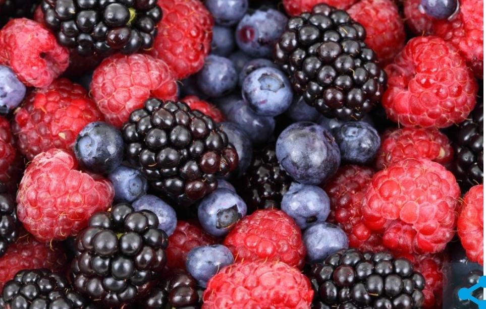 В Wildberries сделали заявление после массовой забастовки сотрудников