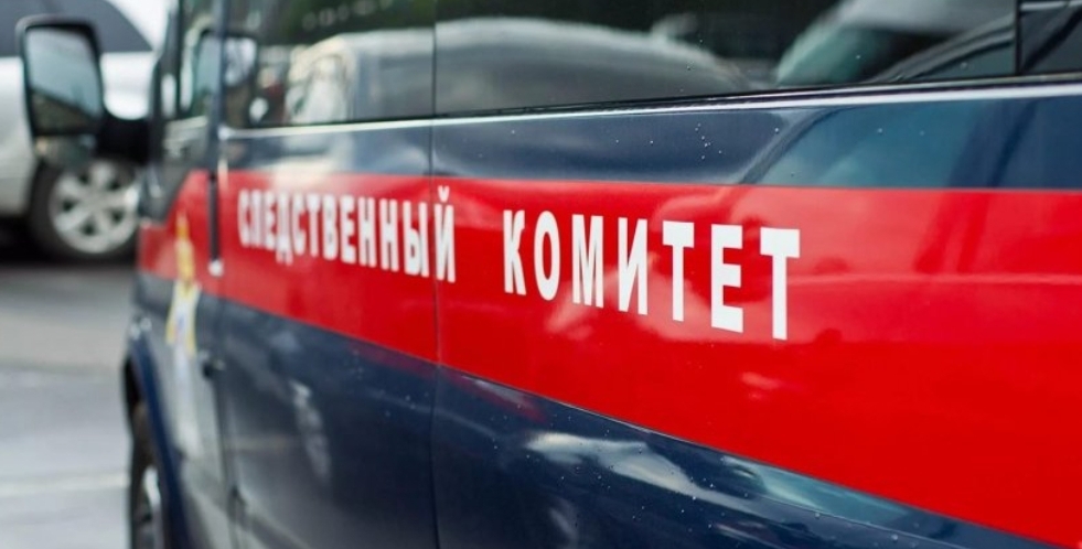 В Сибири наказали экс-депутата, который сбил ребенка и скрылся с места ДТП