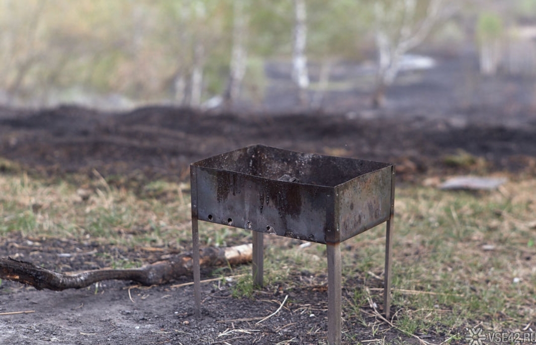 Штраф за костер и шашлык вырос в Кузбассе до 20 000 рублей