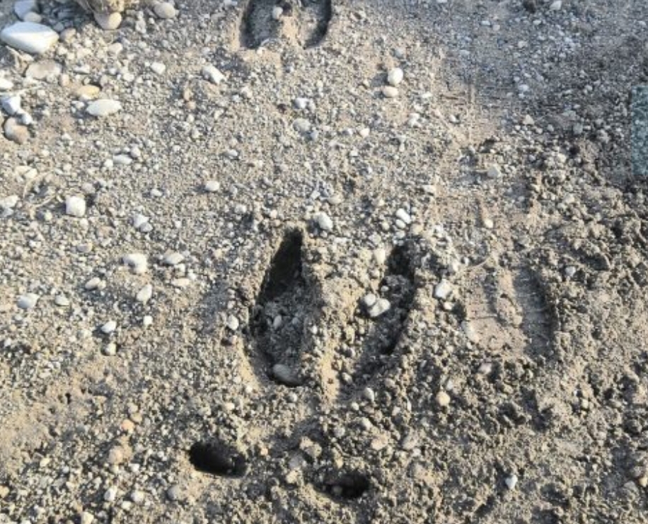 Жителей Кузбасса предупредили о неочевидной весенней опасности