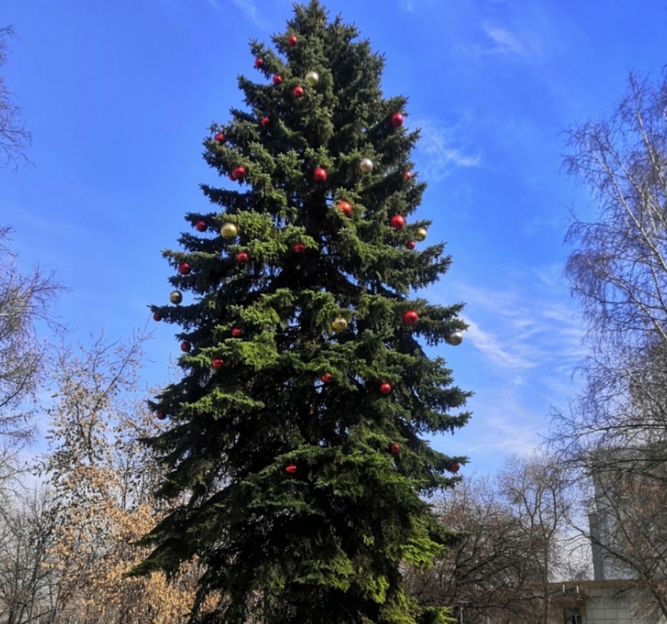 НОВОКУЗНЕЧАНЕ РАСКРЫЛИ ТАЙНУ, ПОЧЕМУ В ГОРОД НИКАК НЕ ПРИДЁТ ВЕСЕННЕЕ ТЕПЛО