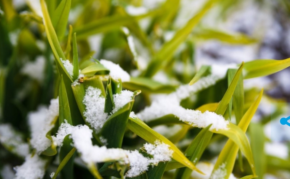 Резкое похолодание надвигается на