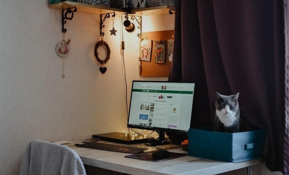 БОЛЬШИНСТВО КУЗБАССОВЦЕВ ПЛАНИРУЮТ МЕНЯТЬ ПРОФЕССИЮ