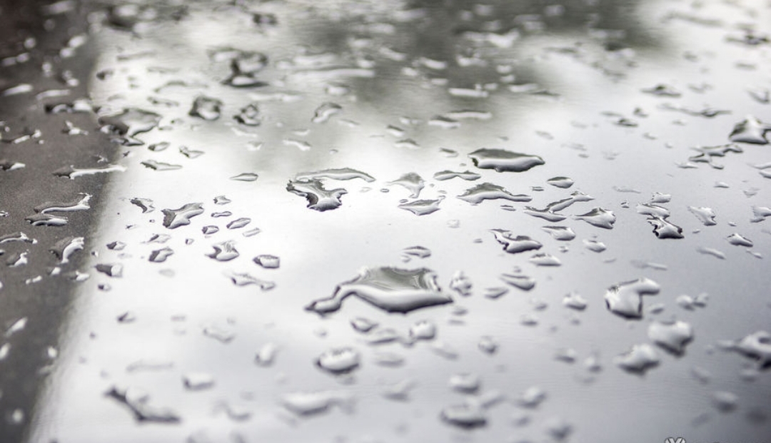 Вызывает настороженность": Вильфанд сообщил о дефиците осадков в Кузбассе