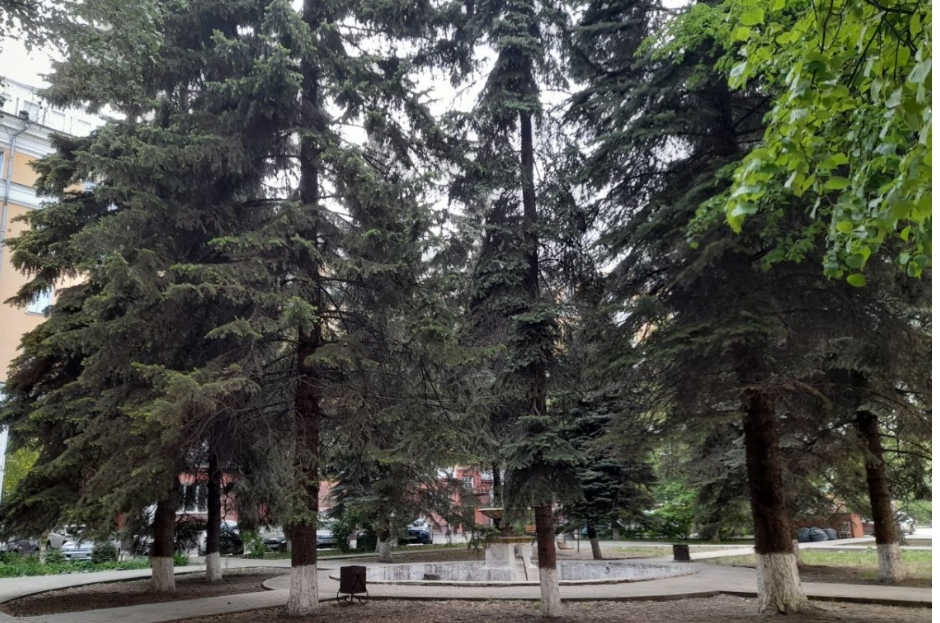 В КИТАЙ ВЫВЕЗЛИ 260 ТОНН КУЗБАССКИХ ДЕРЕВЬЕВ