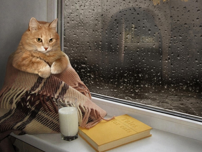 ДОЖДЛИВАЯ ПОГОДА НЕ ПЛАНИРУЕТ ЗАКАНЧИВАТЬСЯ В КУЗБАССЕ ДАЖЕ НА ВЫХОДНЫХ