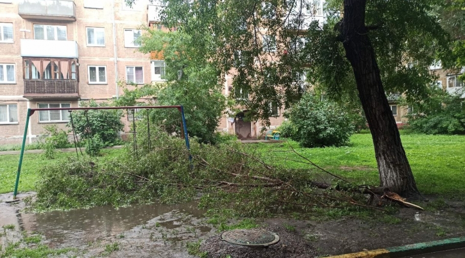 СТРАШНАЯ ТРАГЕДИЯ С ДЕТСКОЙ СМЕРТЬЮ ОТ ПАДЕНИЯ ДЕРЕВА ЧУТЬ НЕ ПОВТОРИЛАСЬ В НОВОКУЗНЕЦКЕ