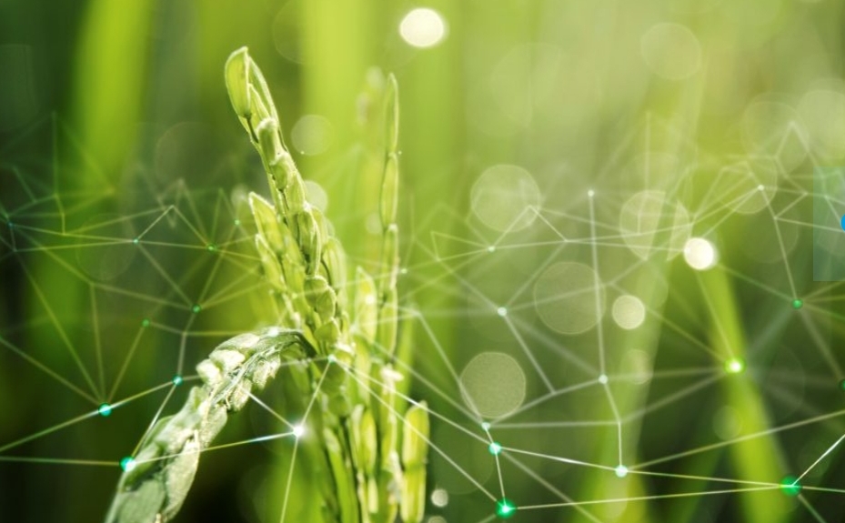 Искусственный интеллект поможет кузбасским аграриям в битве за урожай