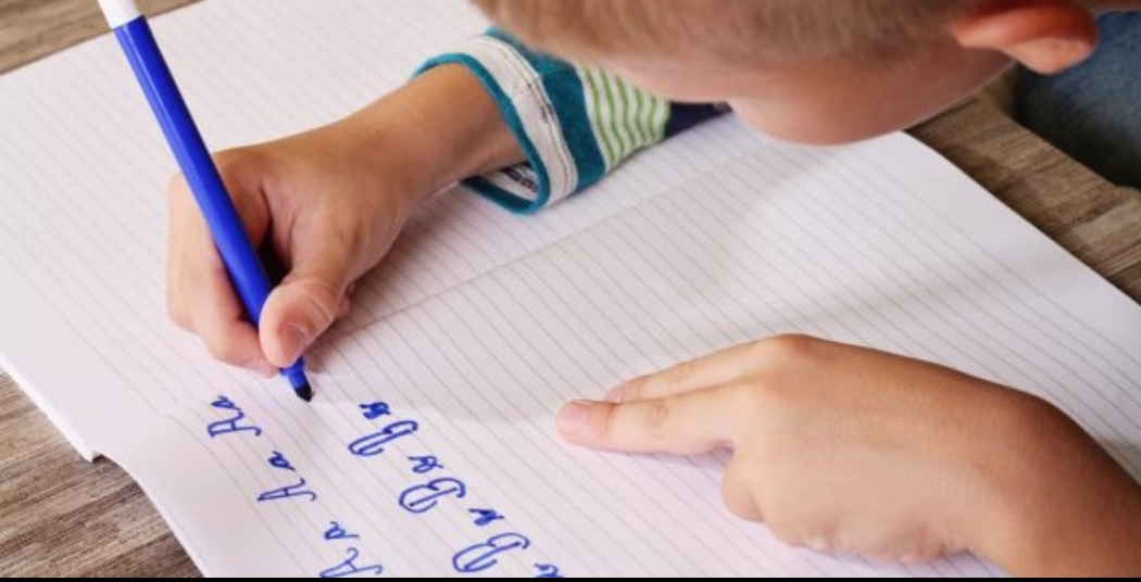 Не навреди: выбираем тетрадки для своих школьников!