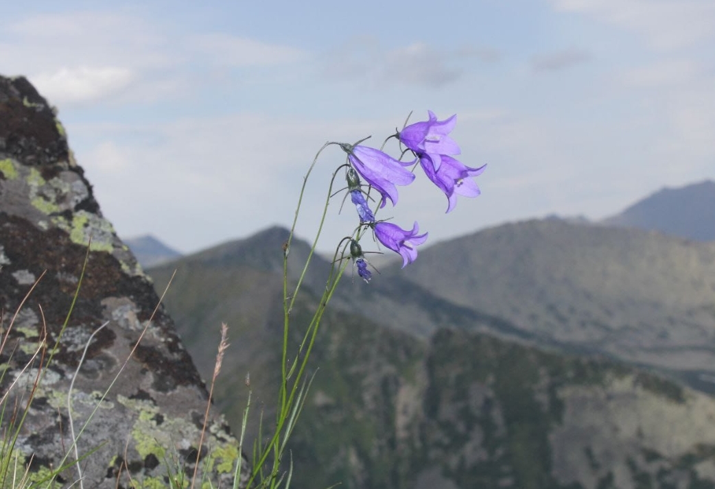 Не нужен нам берег Турецкий