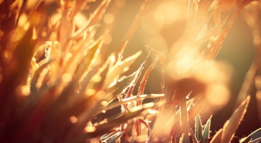 Синоптики Кузбасса резко поменяли прогноз и пообещали необычное