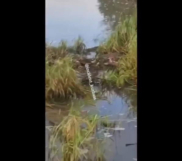 Жители Кузбасса пожаловались на загрязнение Томи отходами
