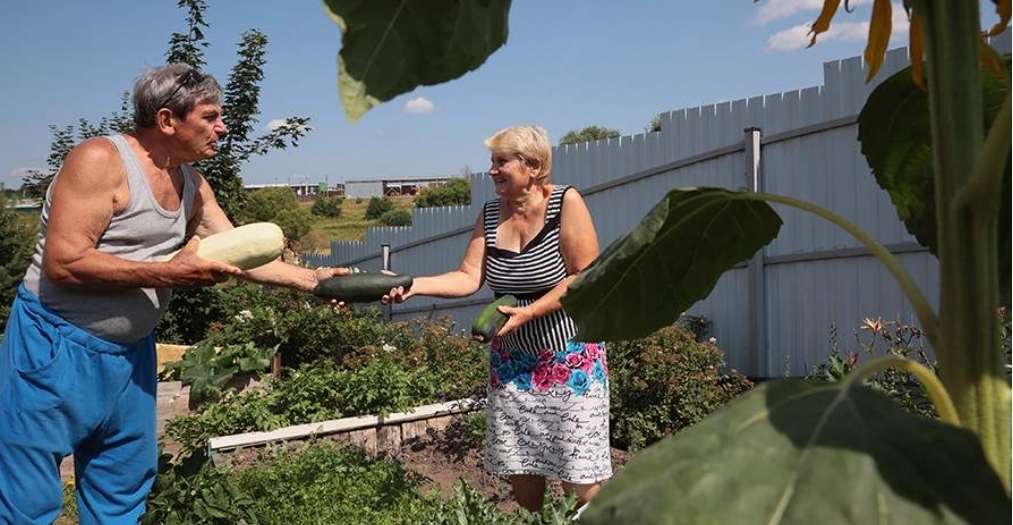 Юрист предупредил дачников о штрафах за продажу излишков урожая