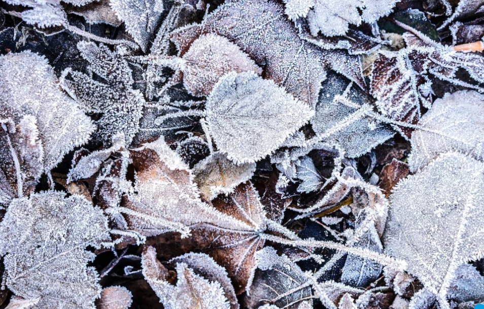 Холодно: в Кузбассе на этой неделе будет минусовая температура