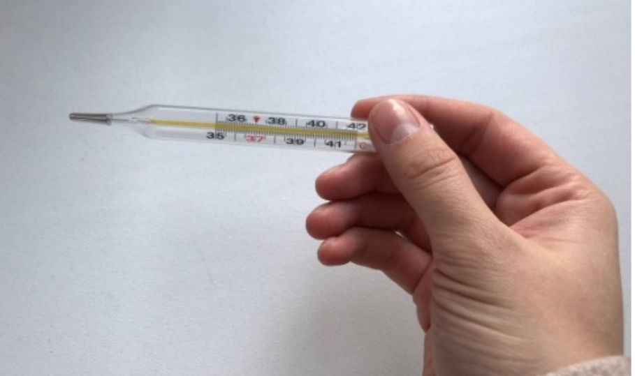 Новокузнецкие дети слегли с болезнью: новая эпидемия или сезонный грипп?