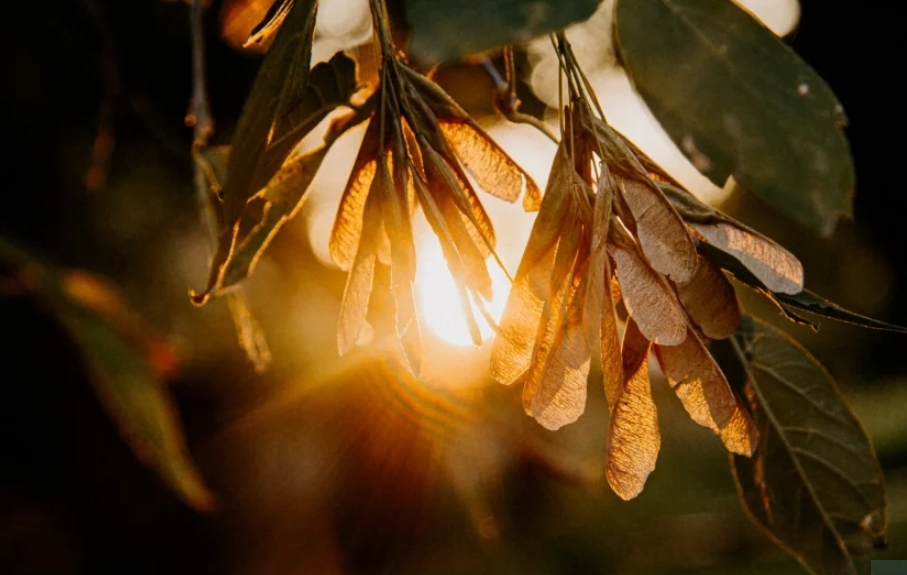 Очень крутая погода скоро удивит весь Кузбасс