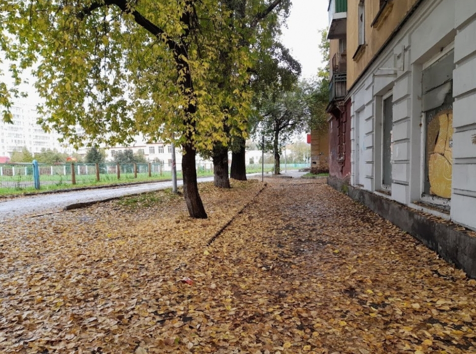 Дожди и вновь небольшое потепление: заморозки пока не торопятся в Кузбасс