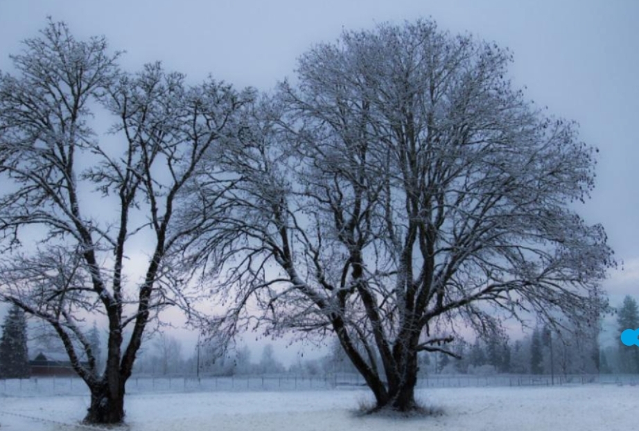 Жуть, как холодно: Кузбасс ждёт очень морозный ноябрь