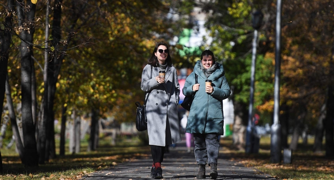 Как по маслу: какие продукты укрепляют иммунитет