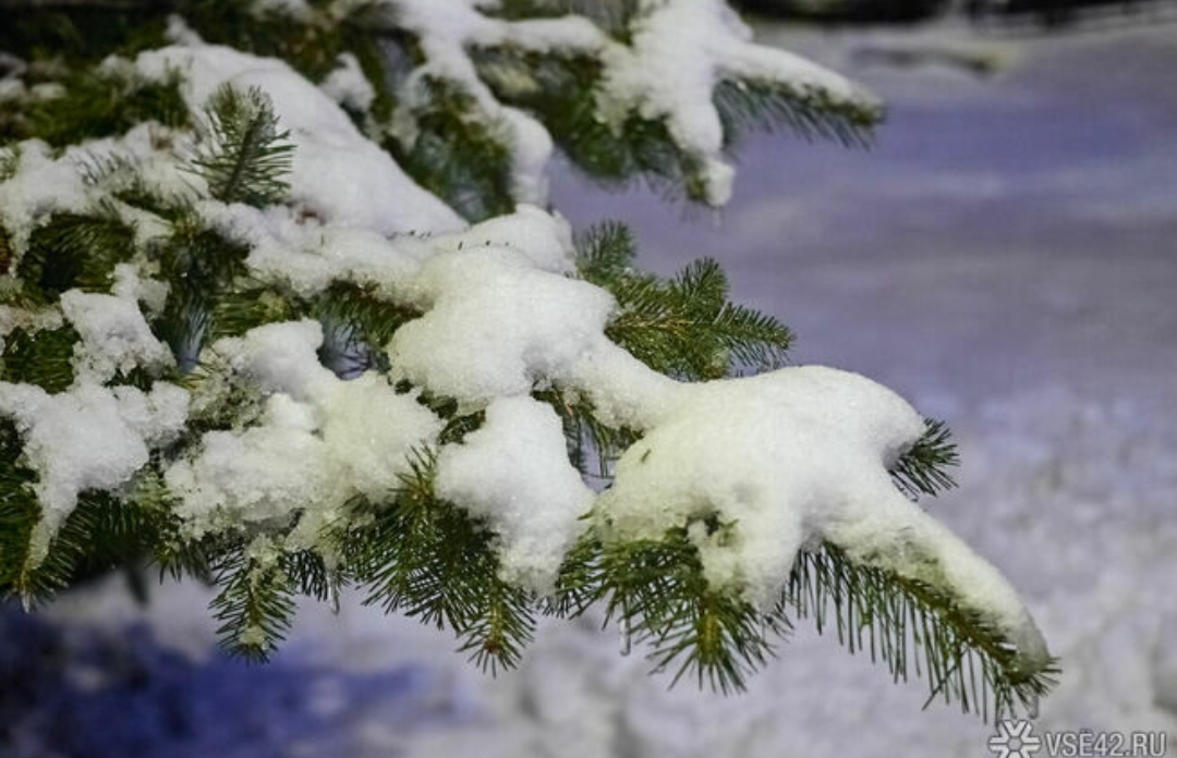 Температура изменится на 20°C в Кузбассе на неделе